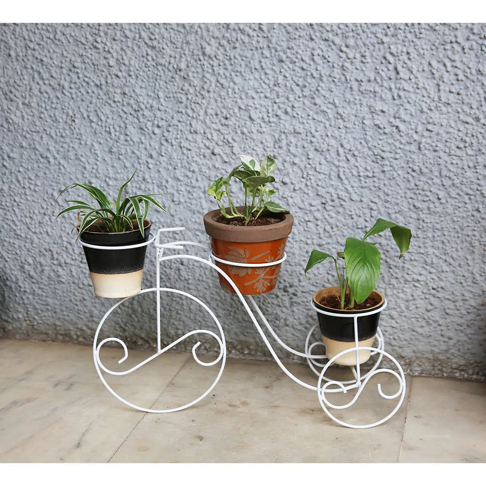 Cycle Planter - Medium