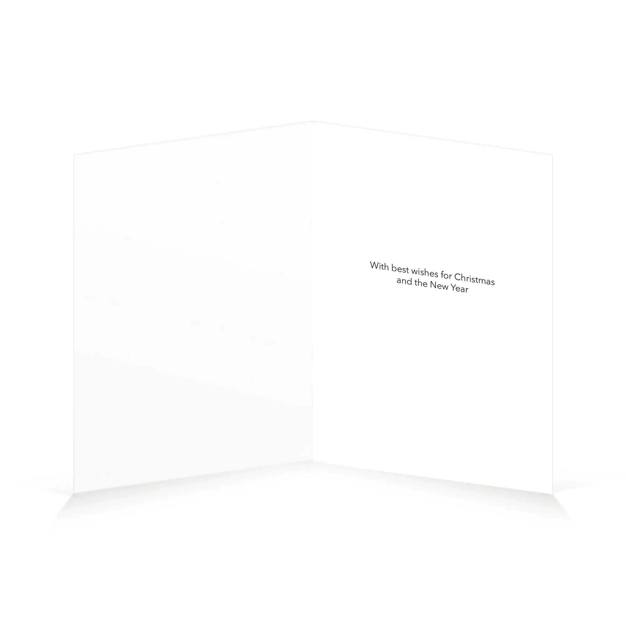 Pier Francesco Fiorentino Xmas Wallet